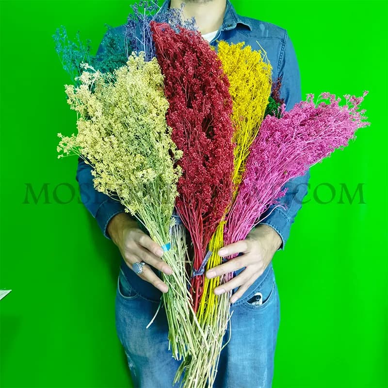 گل خشک مدل سبزه ریزه — تصویر ۵