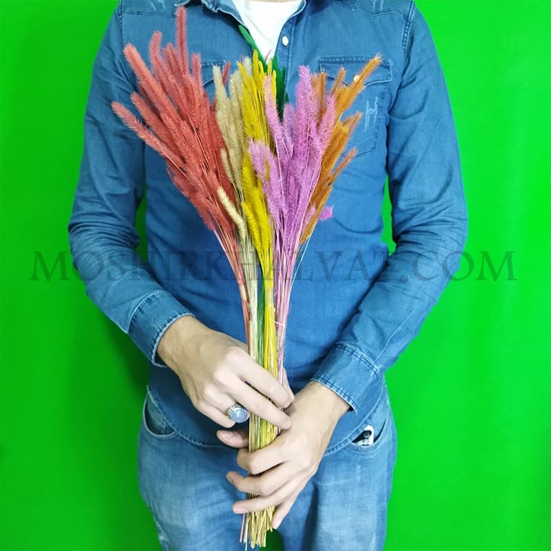 گل خشک مدل دم موشی — تصویر ۵
