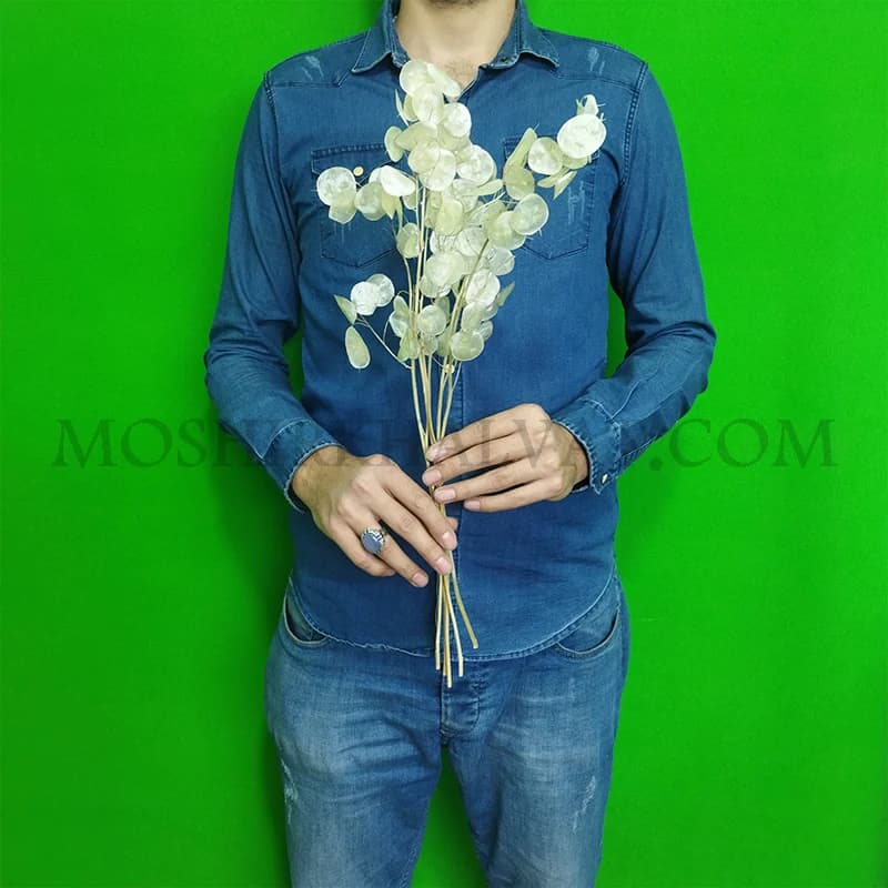 گل خشک مدل سکه ای — تصویر ۵