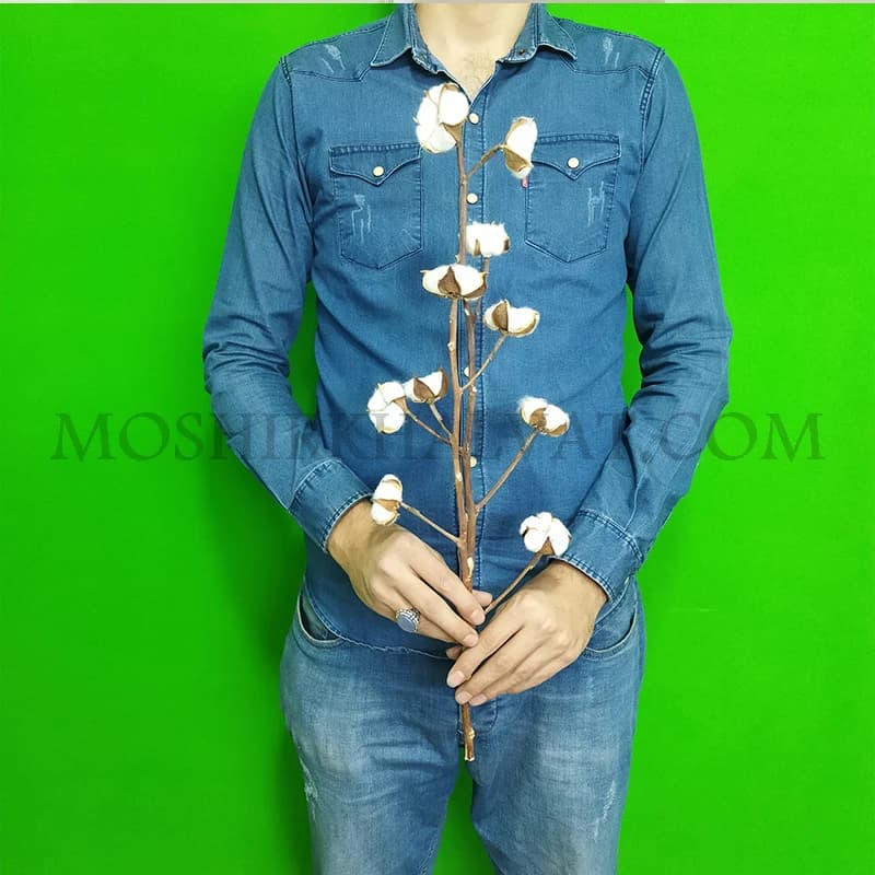 گل خشک مدل شاخه پنبه 10 گل — تصویر ۵