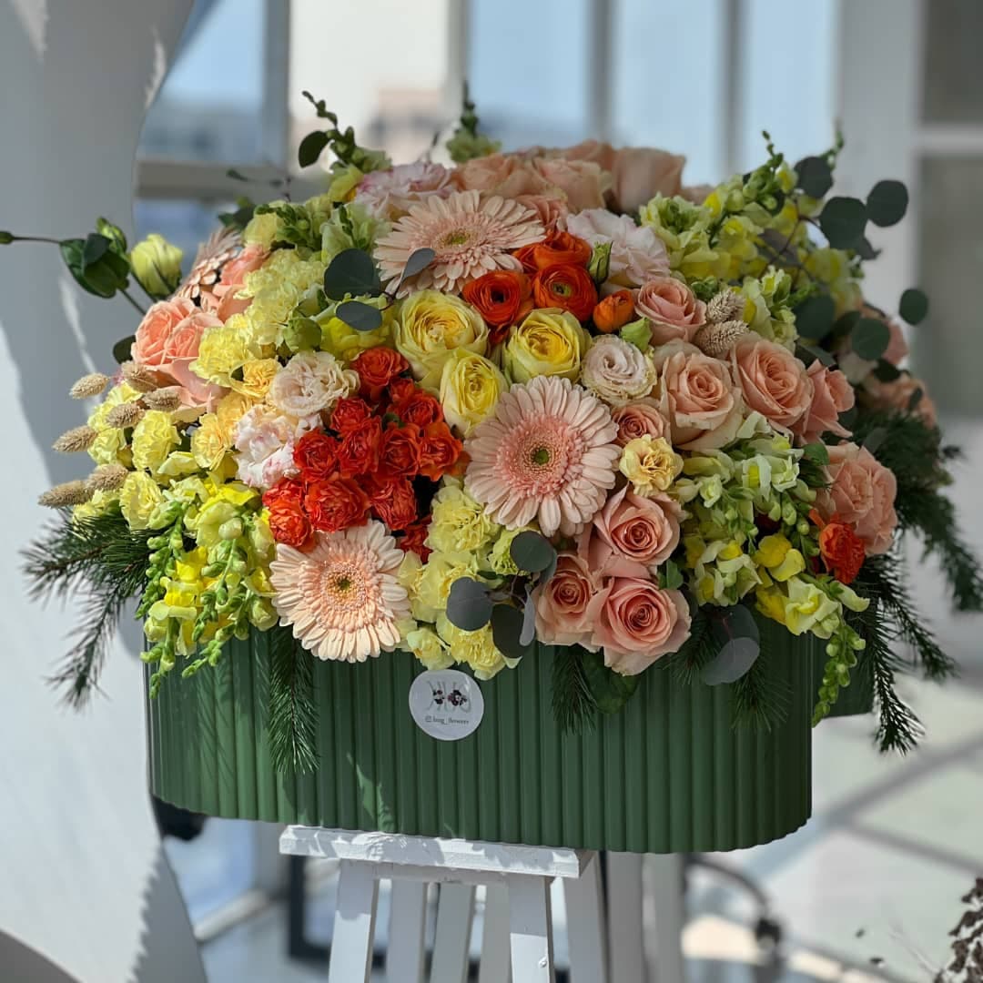 باکس پاییز