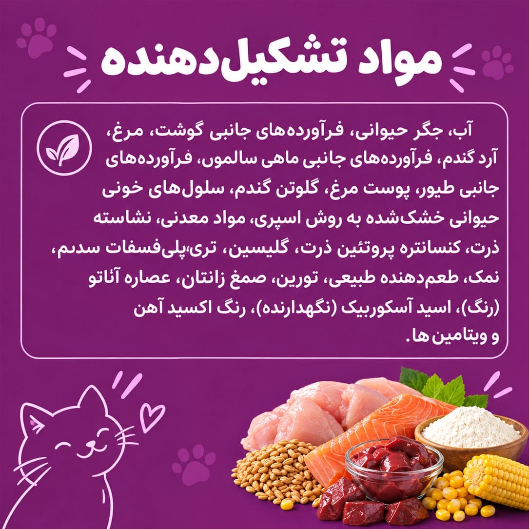 پوچ گربه ویسکاس سالمون — تصویر ۵