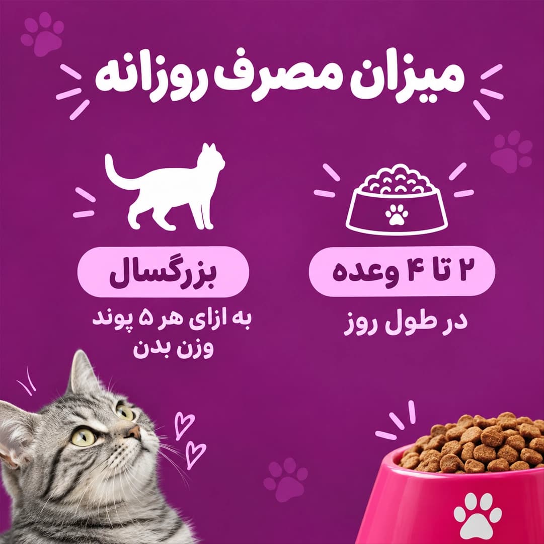 پوچ گربه ویسکاس سالمون — تصویر ۶
