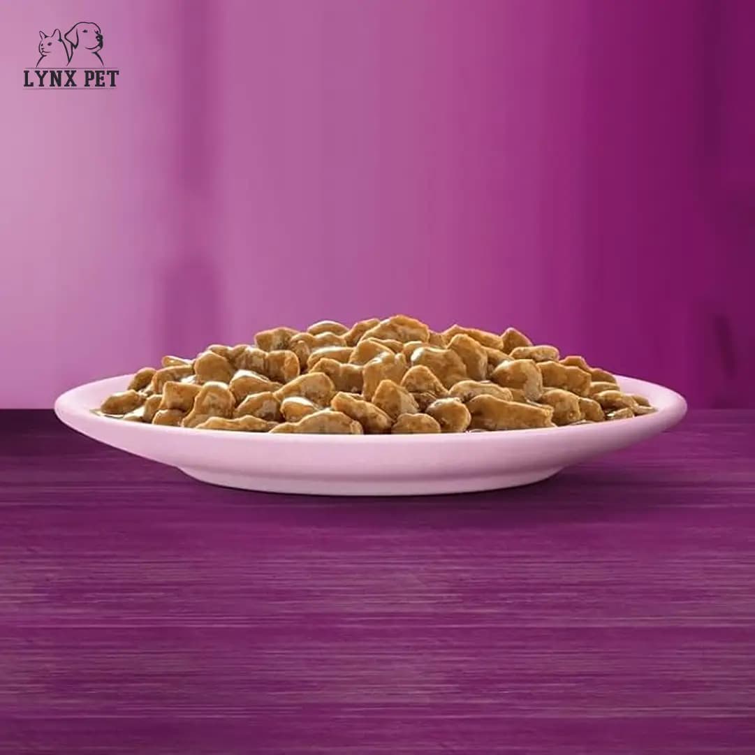 پوچ گربه ویسکاس سالمون — تصویر ۳