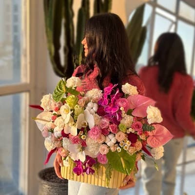 باكس بهارى
