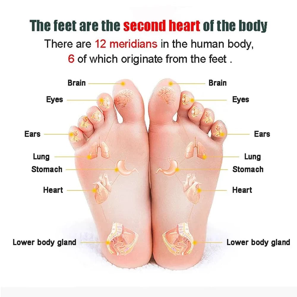 ماساژور پا برقی شیائومی مدل KL Multi Functional Foot Massager KL-808 — تصویر ۳