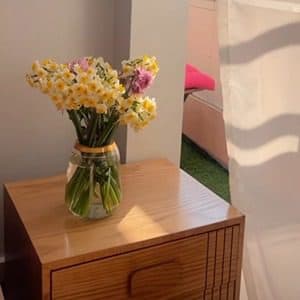 پیاز گل نرگس شیراز معطر (3تایی) — تصویر ۴