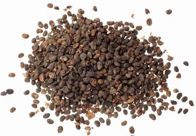 باپچی هندی یا باکوچی(100گرمی )