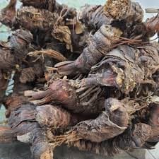 ریشه ایریسا(100گرمی )