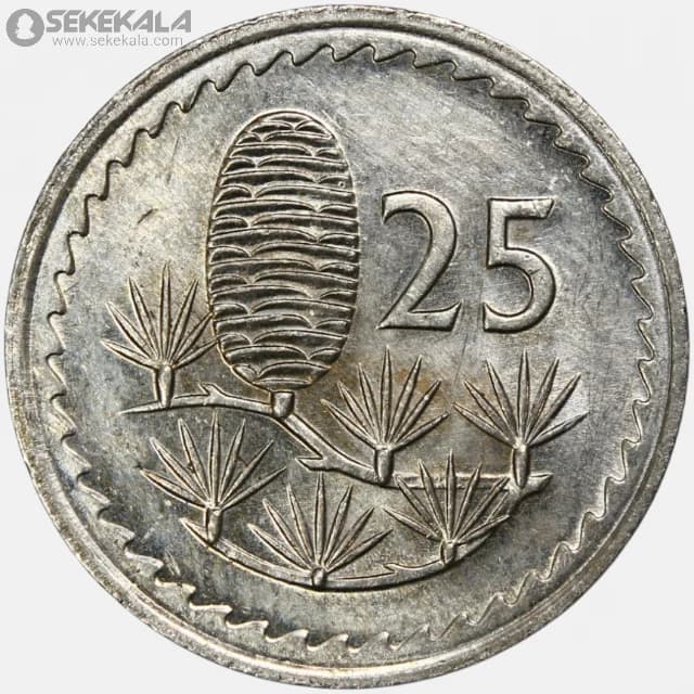 سکه 25 مل قبرس 1981 (UNC)