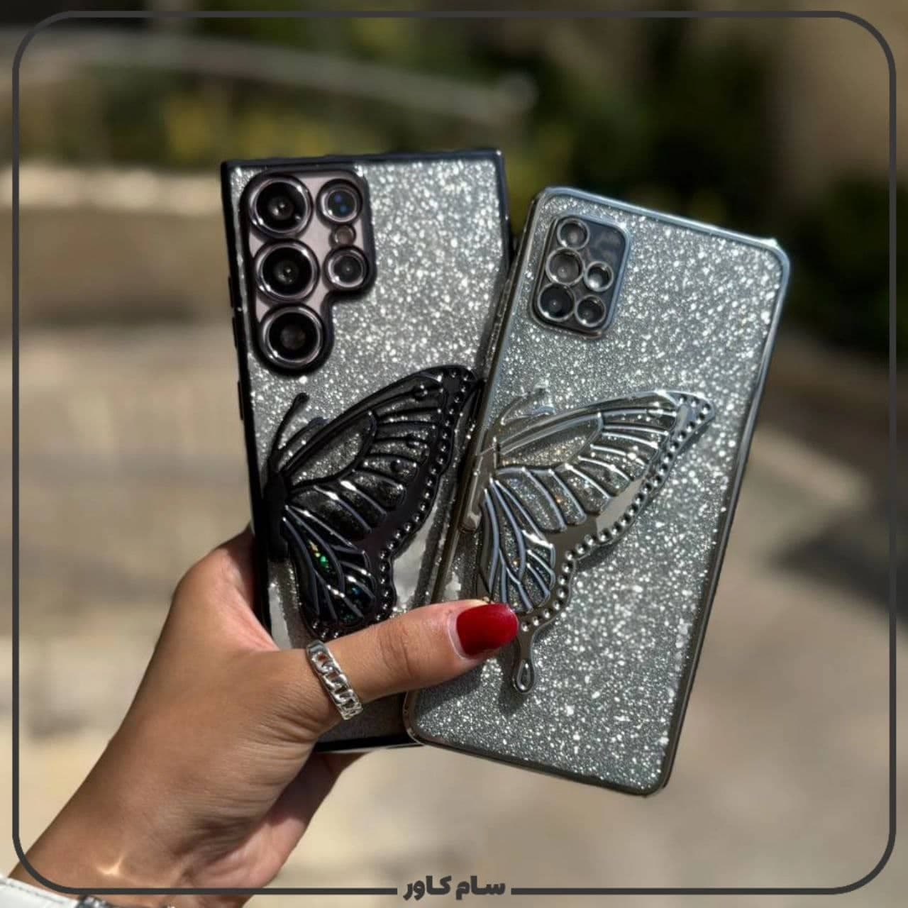 قاب بال پروانه آکواریومی — تصویر ۲