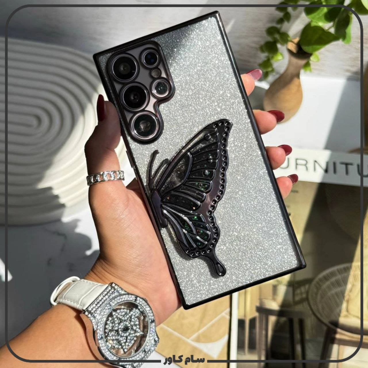قاب بال پروانه آکواریومی — تصویر ۵