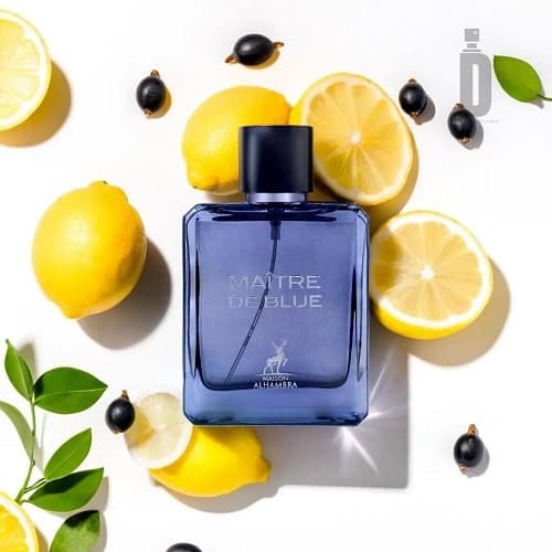 عطر ادکلن مردانه بلو د شنل میسون الحمبرا | (Bleu de Chanel (Maître de Blue Maison Alhambraحجم 100 میل(شرکتی) — تصویر ۳