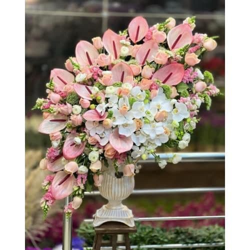 گل و هدیه برای مشاور قانونی pe417