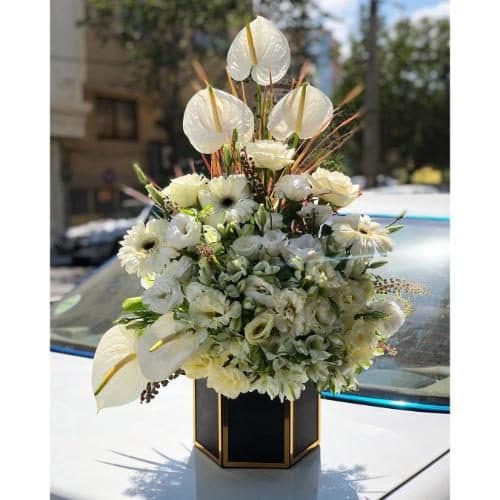 گل و هدیه برای دادیار pe331