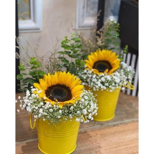 گل و هدیه برای بازرس pe316