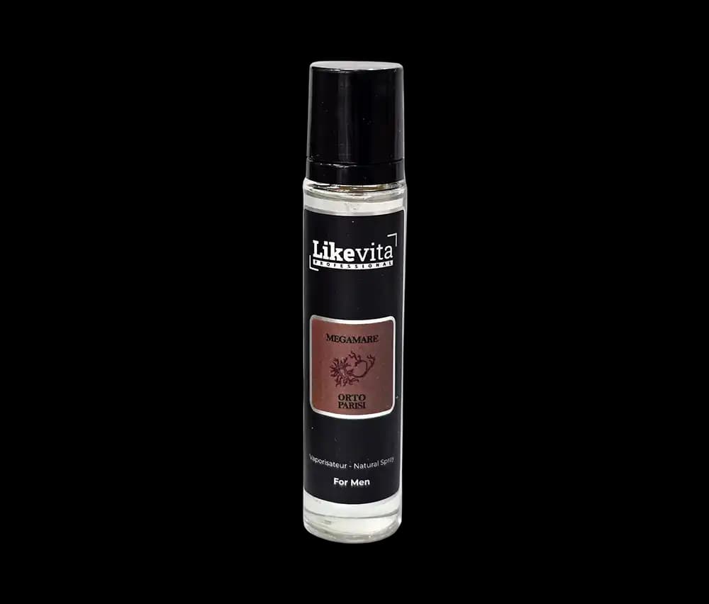 عطر جیبی مردانه لایک ویتا مدل مگاماره با رایحه خنک و تلخ حجم 22 میلی‌لیتر