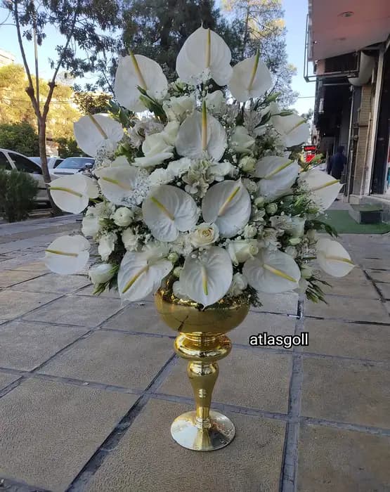 جام طلایی گل ارکیده طرح تبسم