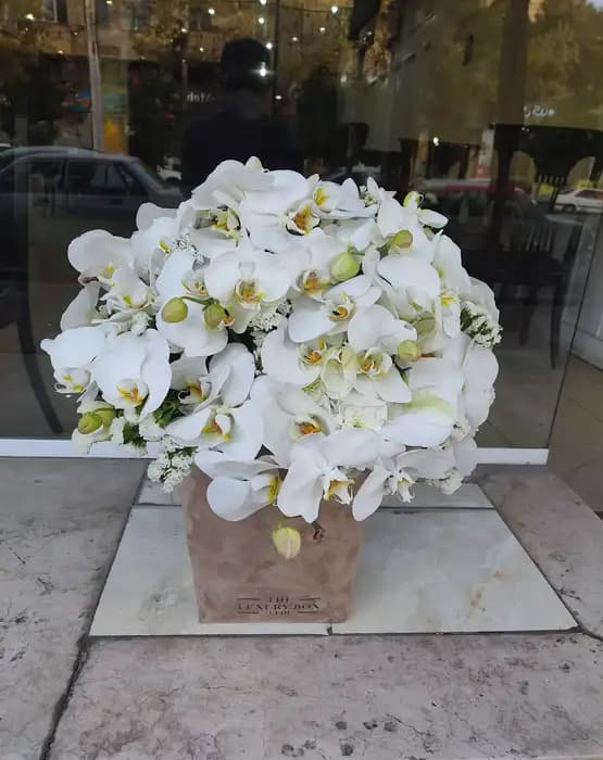 باکس گل ارکیده سفید طرح نیلی
