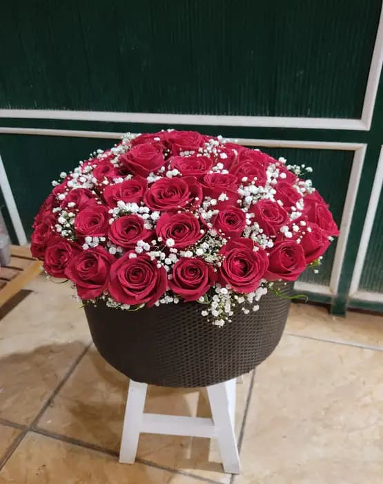 باکس قرمز طرح حنا
