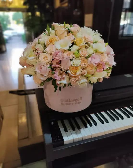 باکس گرد زیبا طرح نگار