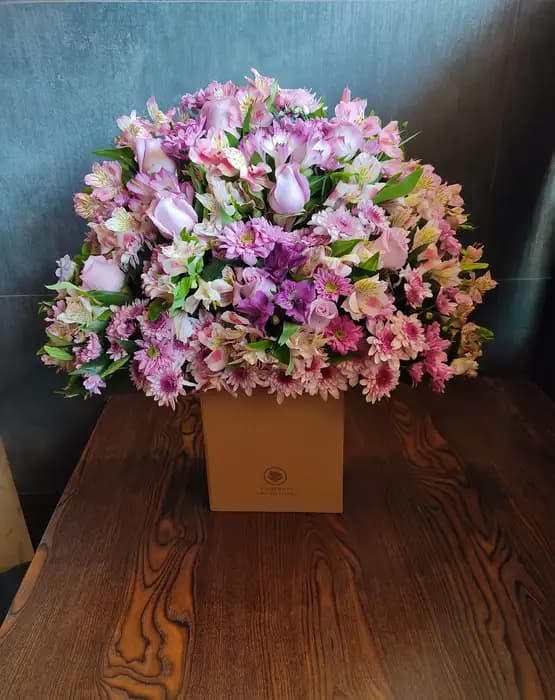 باکس گل آلسترو مریا طرح شقایق
