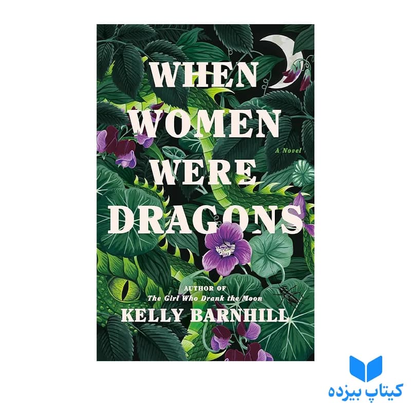 کتاب When Women Were Dragons