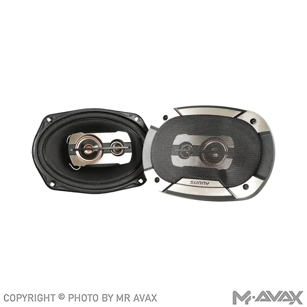 باند 9*6 اینچ سانی مدل TS-6975F(دو عددی)