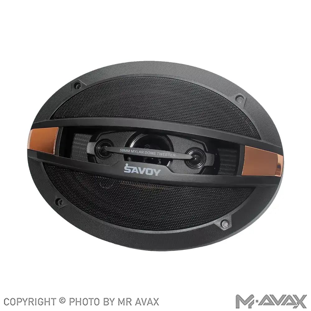 باند بیضی 9*6 اینچ ساووی مدل SV-962X(دو عددی) — تصویر ۲