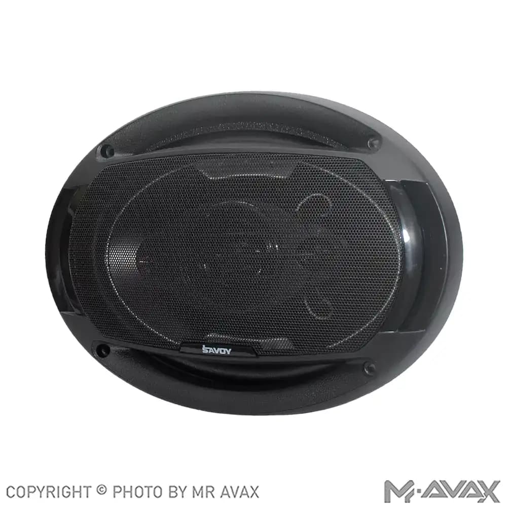 باند بیضی 9*6 اینچ ساووی مدل SV-693X(دو عددی) — تصویر ۲