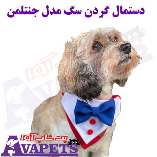 دستمال گردن سگ مدل جنتلمن — تصویر ۳