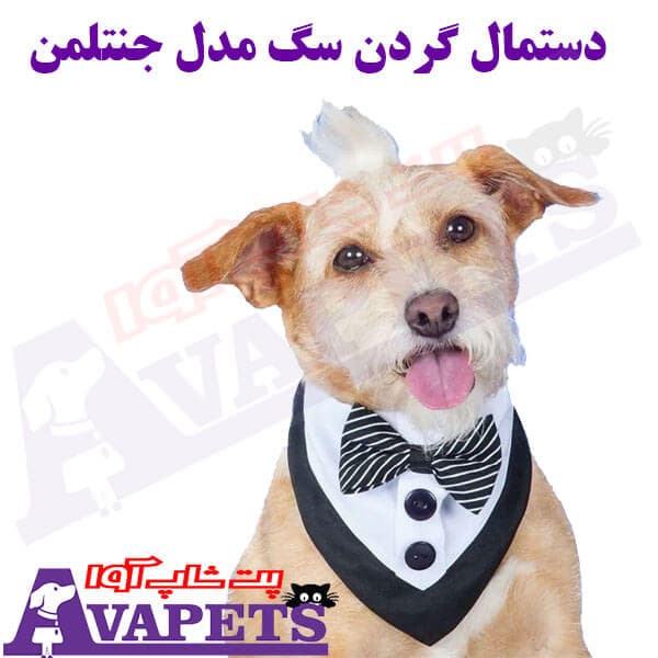 دستمال گردن سگ مدل جنتلمن