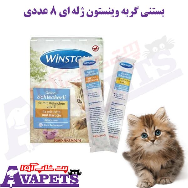 بستنی گربه وینستون ژله ای