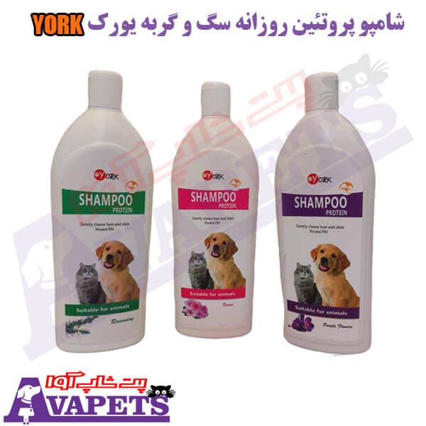 شامپو پروتئین روزانه سگ و گربه یورک