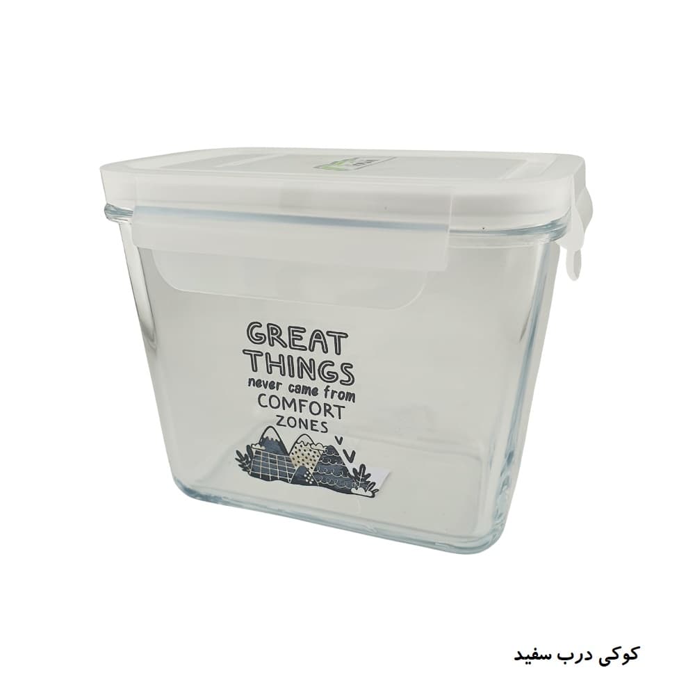 ظرف شیشه ای مستطیل ۹۲۰ میلی لیتر چاپدار لیمون کد ۲۲۲۷۳۵ — تصویر ۶