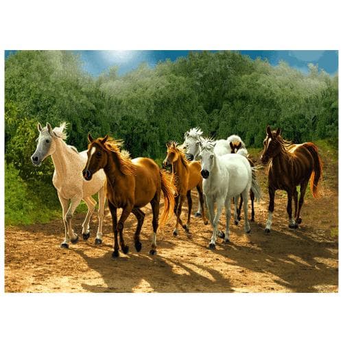 حیوانات مدل اسب کد 26023