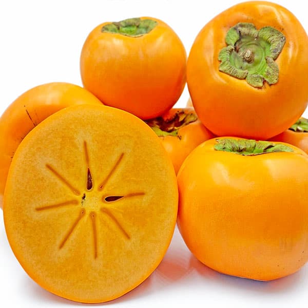 نهال خرمالوی سیبی