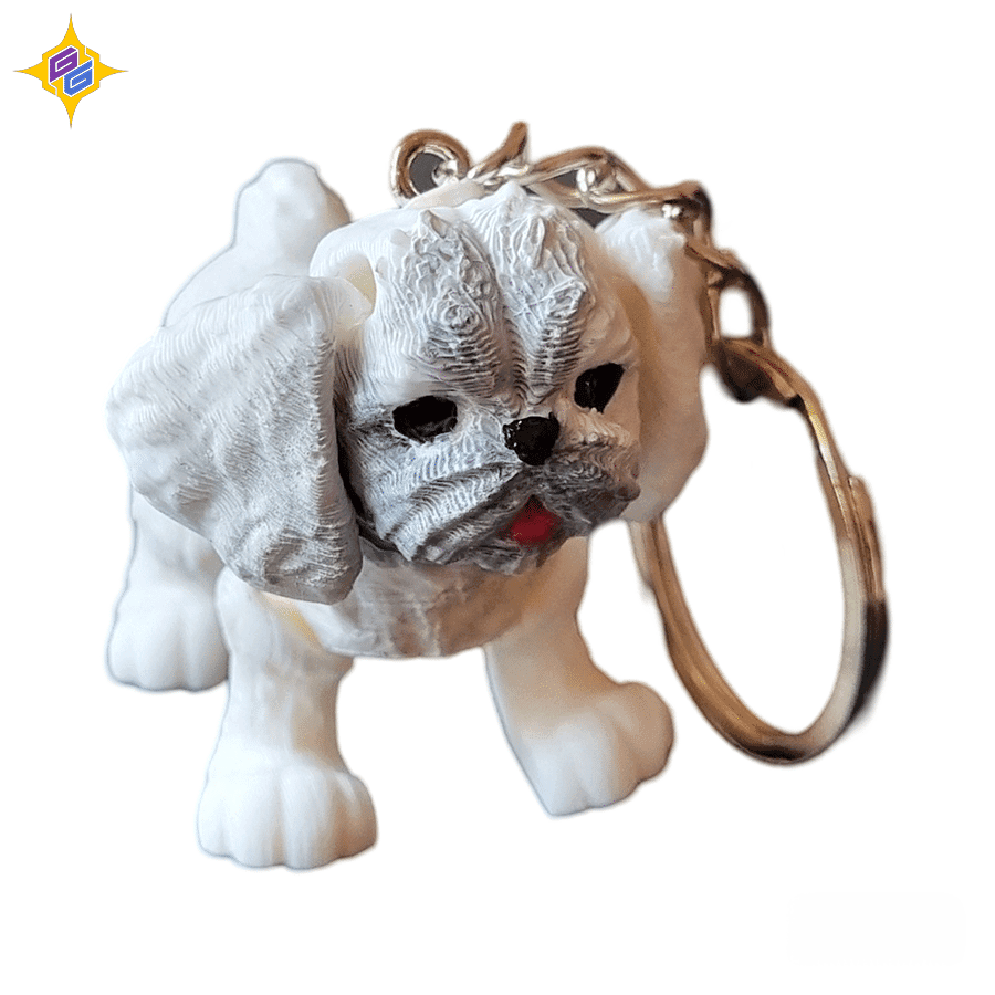 جاسوئیچی طرح سگ پشمالو