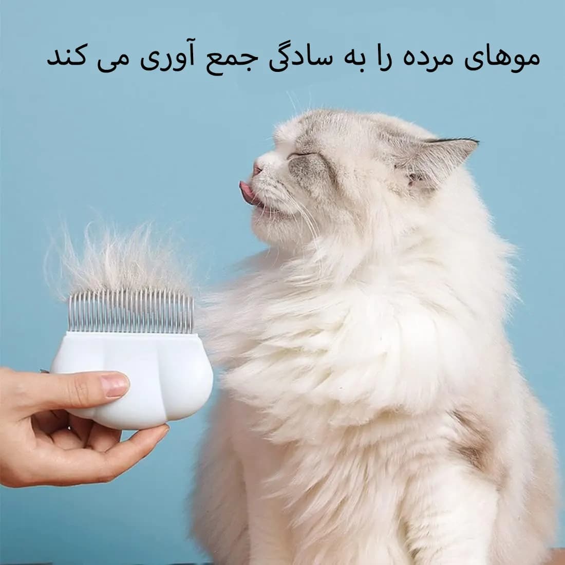 برس و گره بازکن سگ و گربه مدل ماساژور صدفی — تصویر ۳