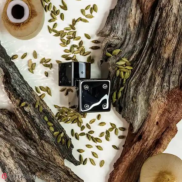 عطر ادکلن بیلی آیلیش یور ترن | Billie Eilish Your Turn — تصویر ۶