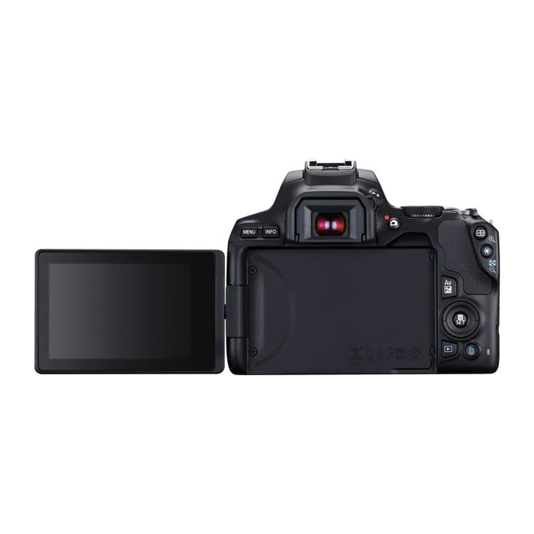 دوربین کانن 250D به همراه لنز EF-S 18-55 mm f/3.5-5.6 III — تصویر ۳