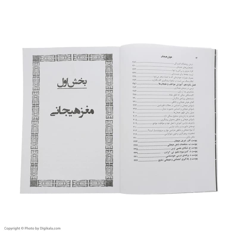 کتاب هوش هیجانی اثر دانیل گولمن نشر نسل نواندیش کدm20991 — تصویر ۹
