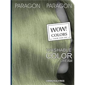 شامپو رنگ فانتزی Smoky Silver 121 پاراگون Paragon