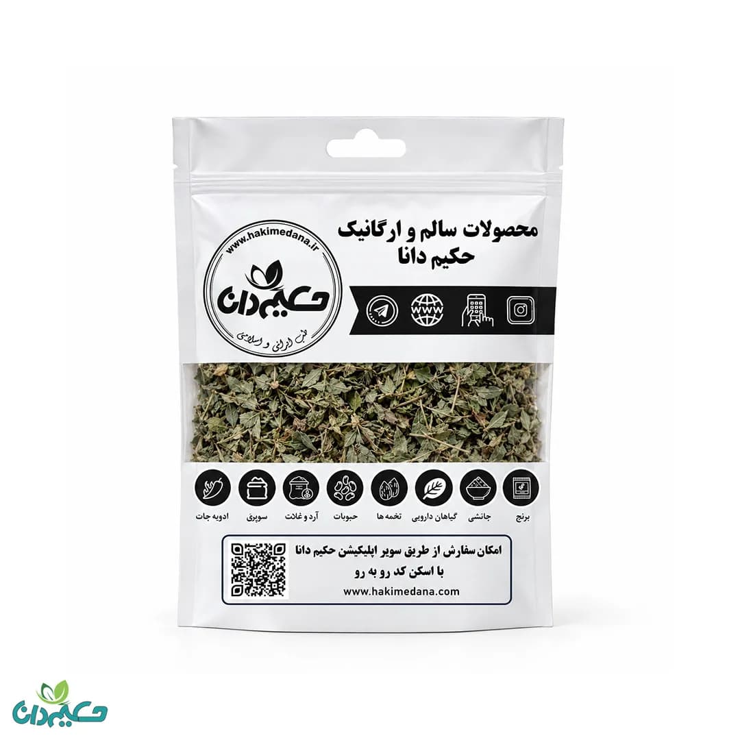 گیاه کاکوتی 35 گرمی — تصویر ۲