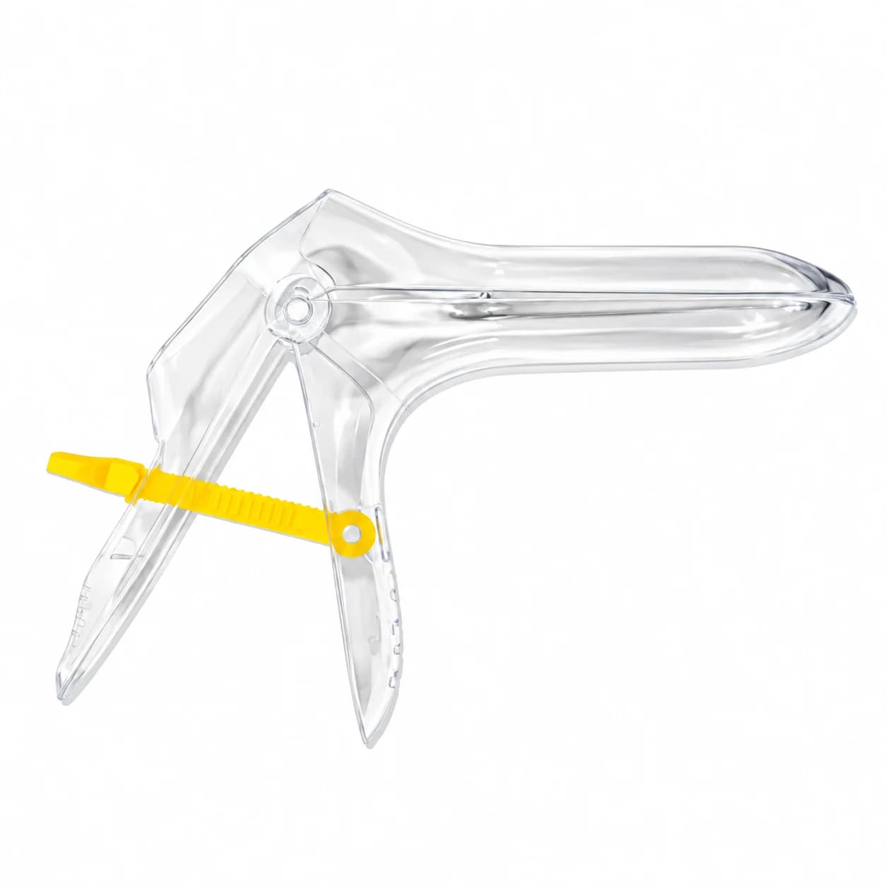 اسپکلوم دلفینی بکر — تصویر ۳