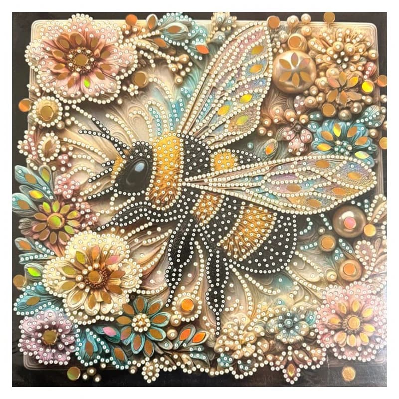 بوم نقاشی الماسی بزرگسال 30×30