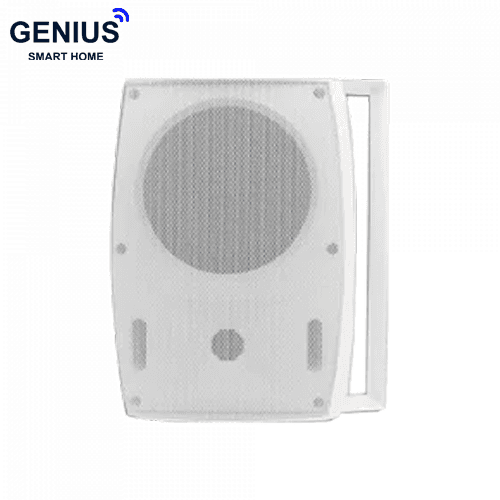 اسپیکر دیواری FG-Sound مدل FG-206