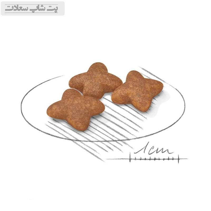 غذای خشک سگ بالغ نژاد کوچک رویال کنین Royal Canin Mini Adult وزن 1 کیلوگرم (فله ای) — تصویر ۲