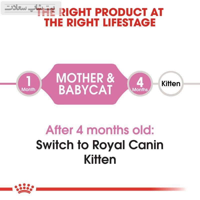 غذای خشک مادر و بچه گربه رویال کنین Royal Canin Mother & Babycat وزن 1 کیلوگرم (فله ای) — تصویر ۳