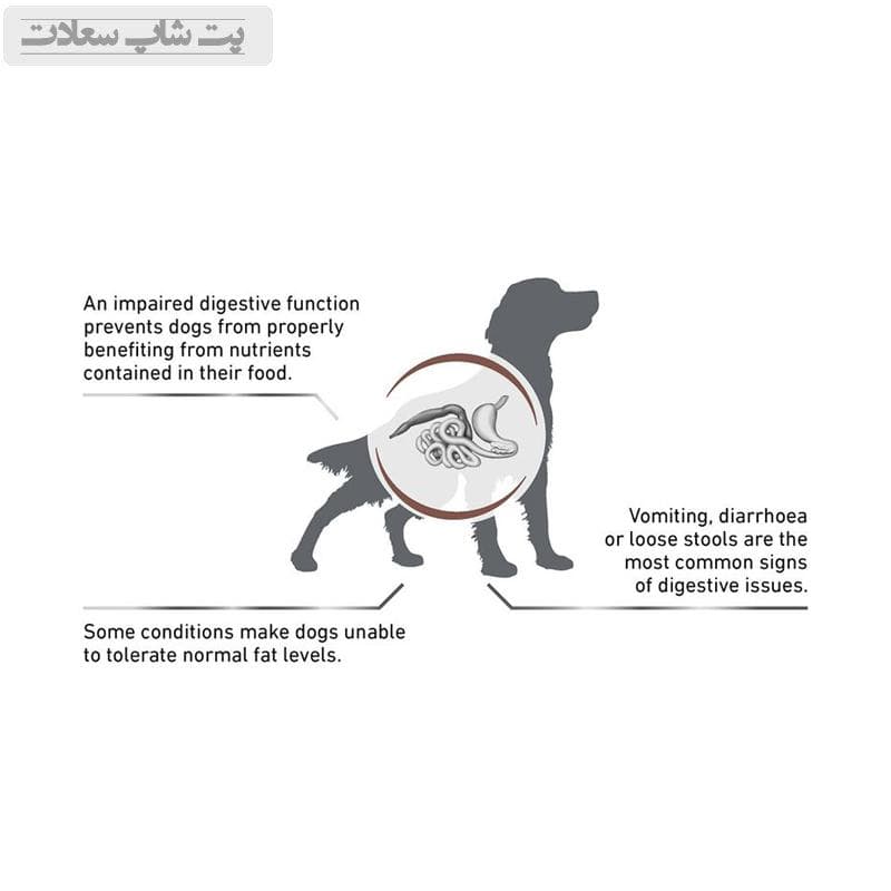 غذای خشک سگ گاسترو رژیمی رویال کنین Royal Canin Gastrointestinal Low Fat وزن 1.5 کیلوگرم — تصویر ۳